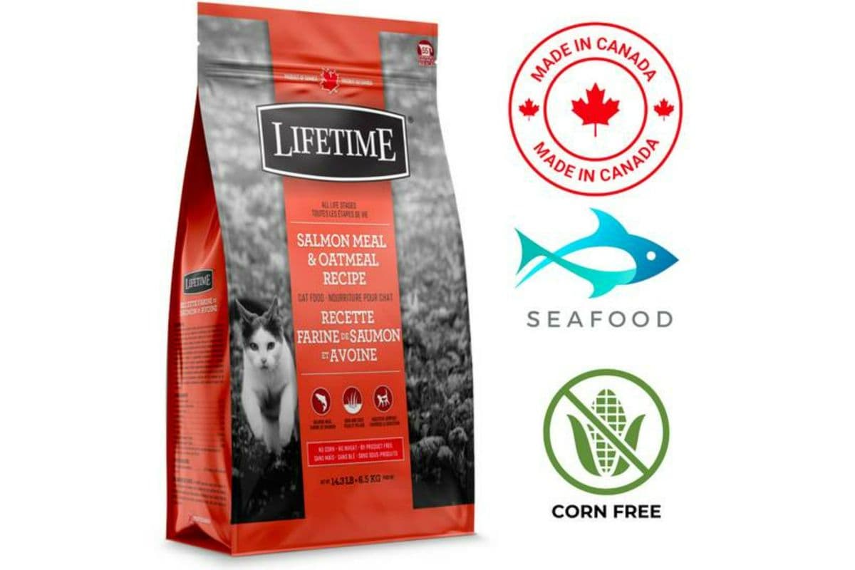 Lifetime All Life Stages Salmon & Oatmeal Dry Cat Food (2.27 kg)