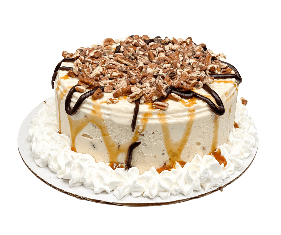 Large Turtle Ice Cream Cake