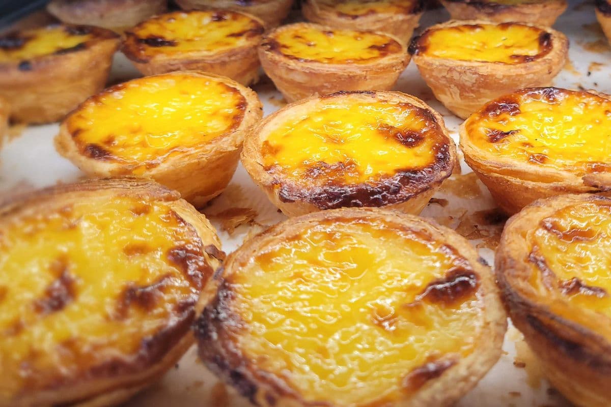 Custard Tart (Pack of 6)