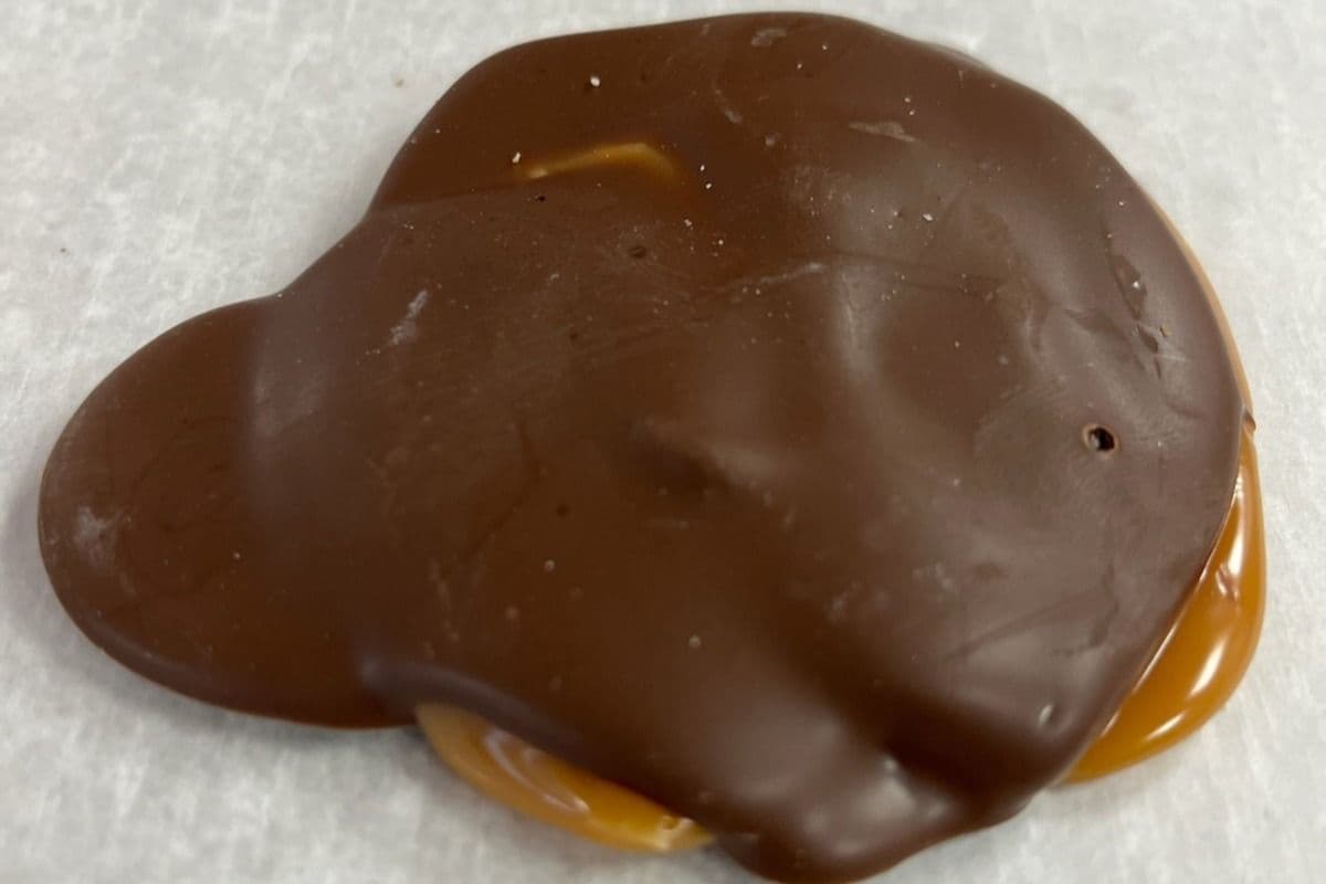Turtle Murtle