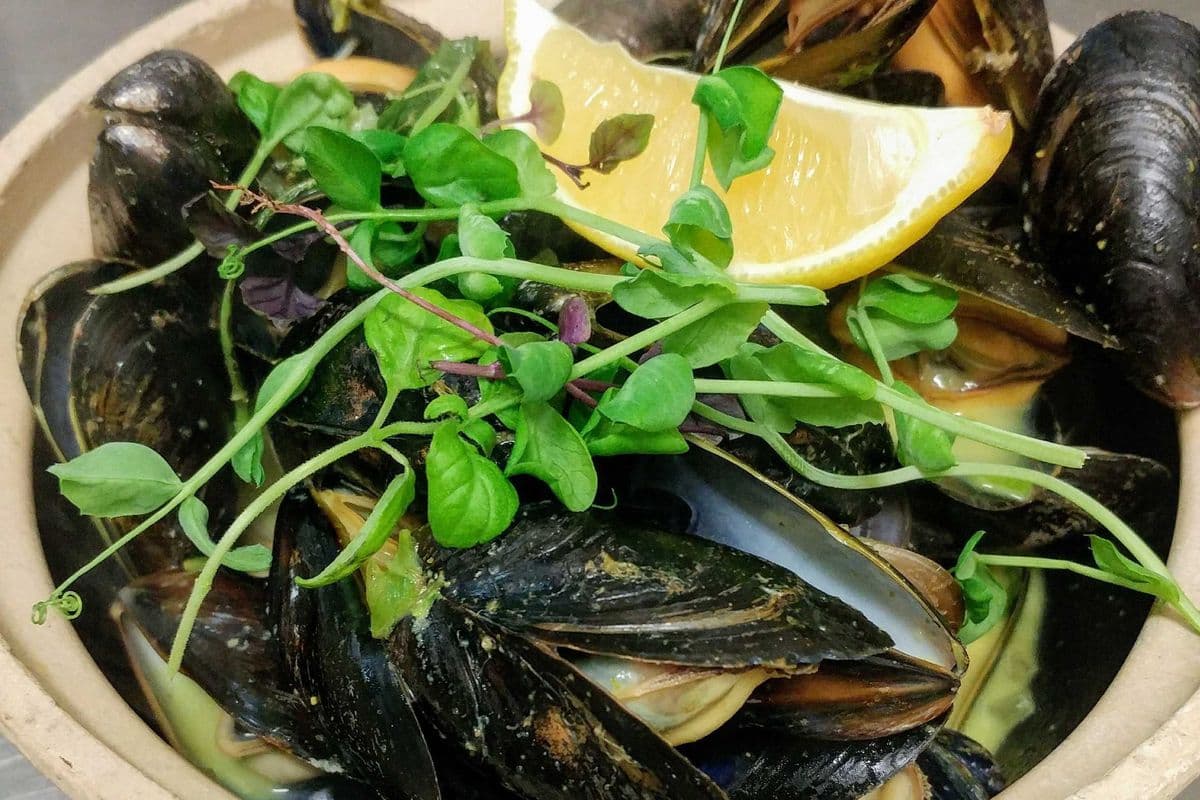 PEI Mussels