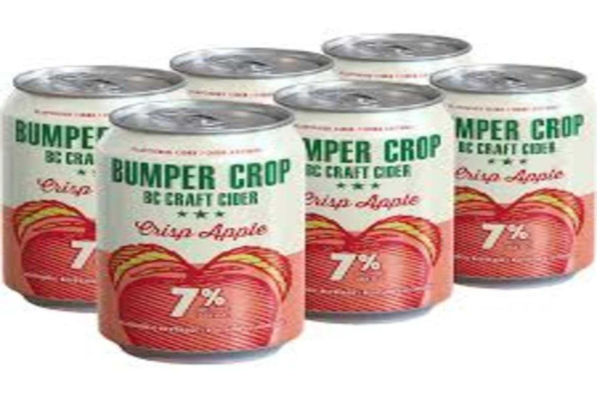 Bumper Crop Crisp Apple Cider 6 cans (6 x 355ml)