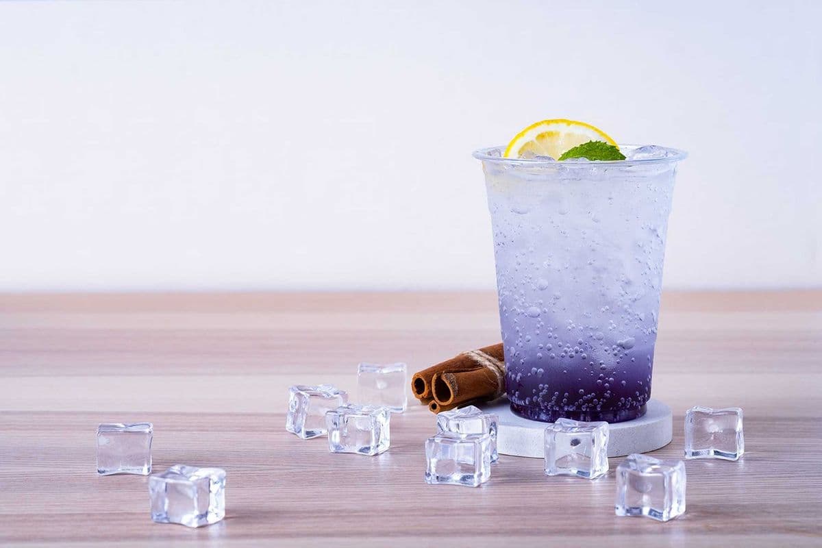BLUEBERRY QUENCHER (18oz)