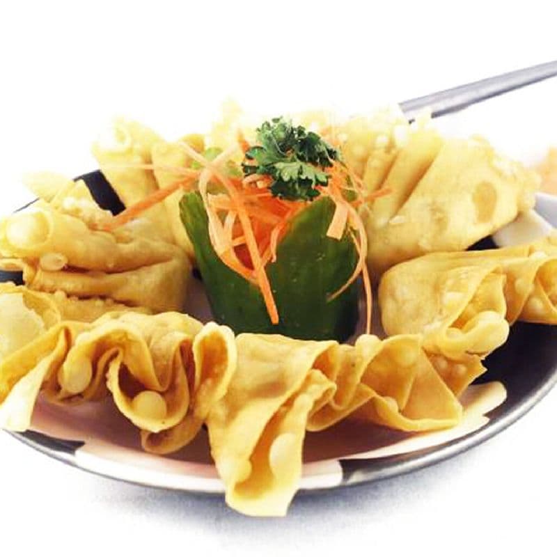 19. Won ton frit aux porc / 19. Fried Won Ton pork