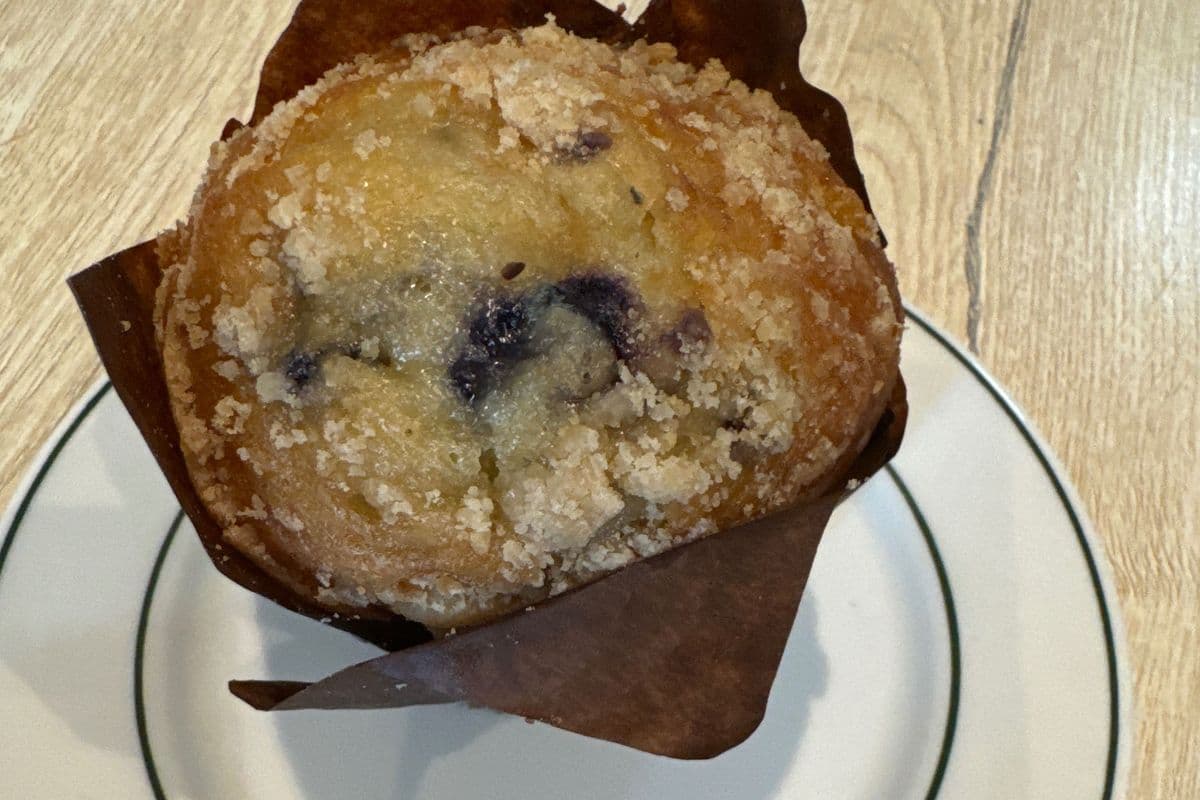 Blueberry Muffin