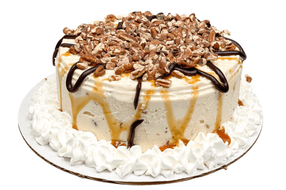 Large Turtle Ice Cream Cake