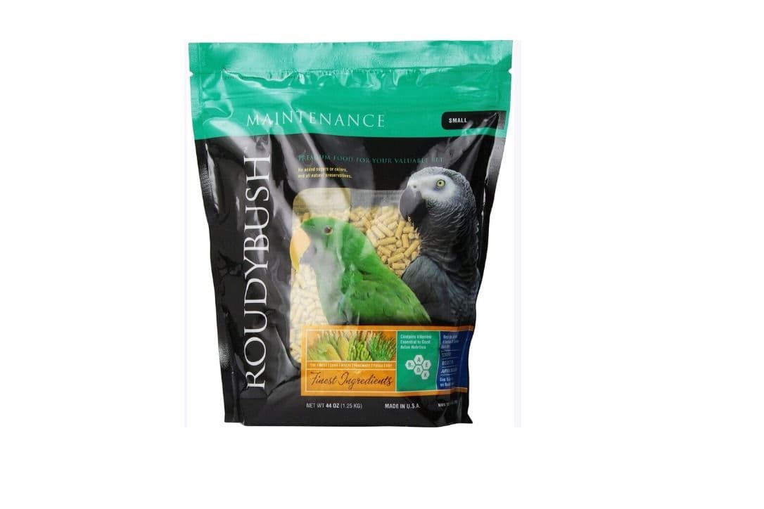 RoudyBush Small (22 oz)