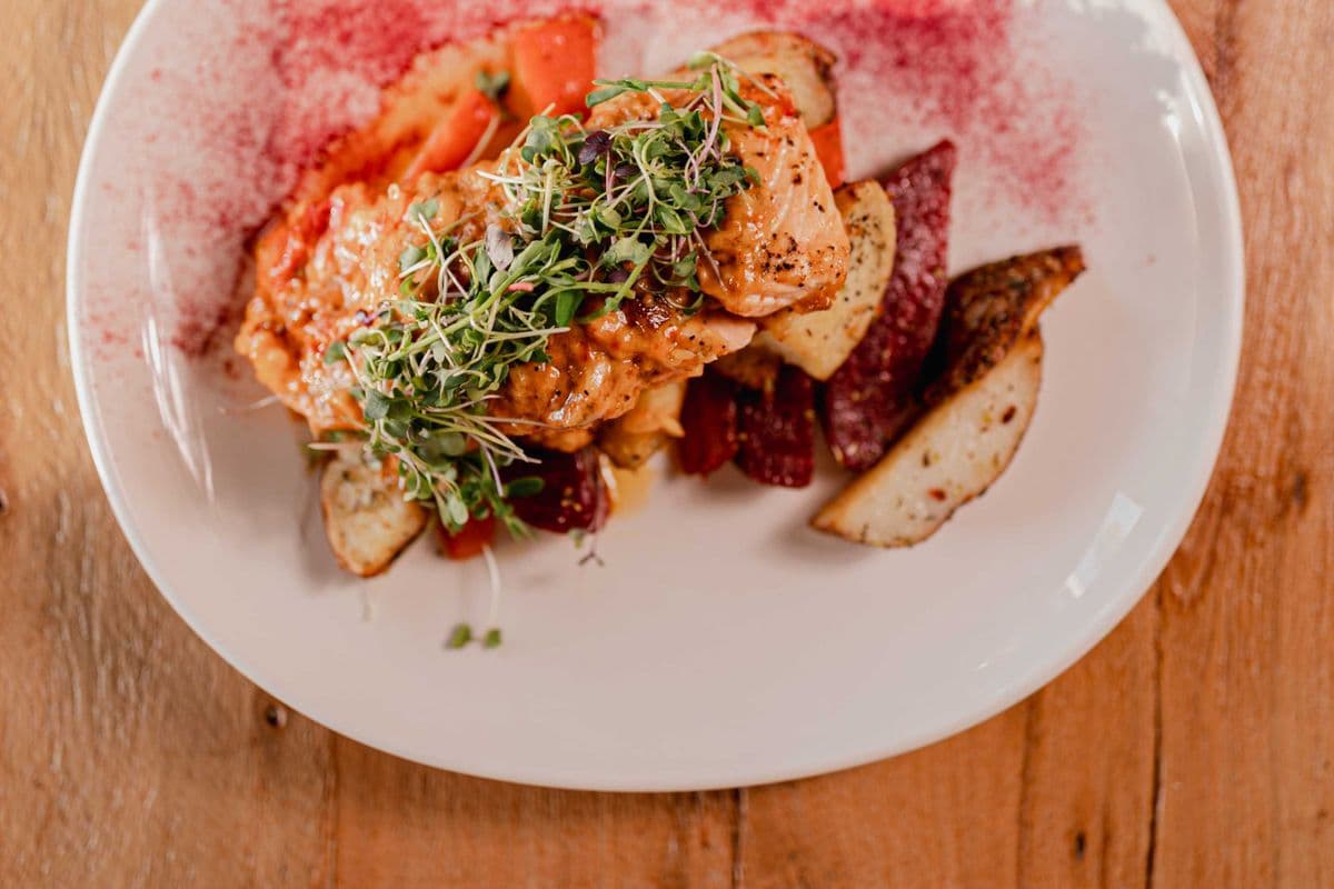 Salmon