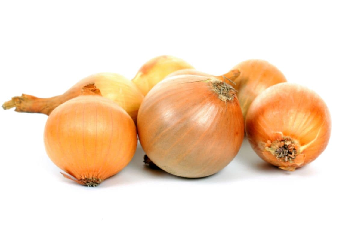 Onion (1 lb)