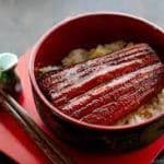 Unagi Don
