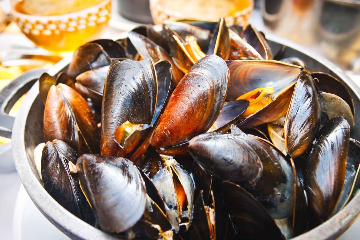 Mussels (1 lb) (Black shell)