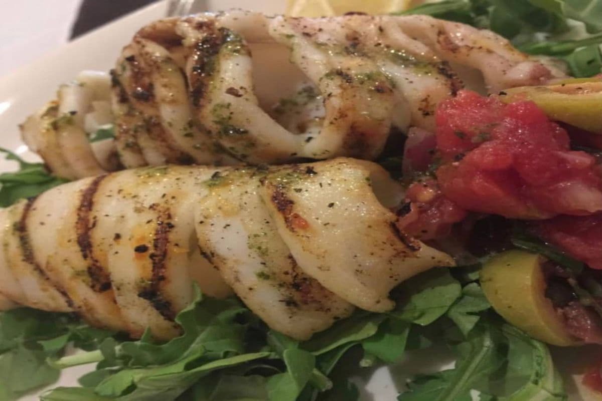 Grilled Calamari