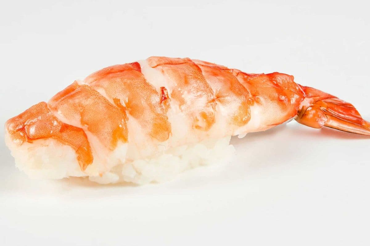 Ebi Nigiri Sushi (1 pc)