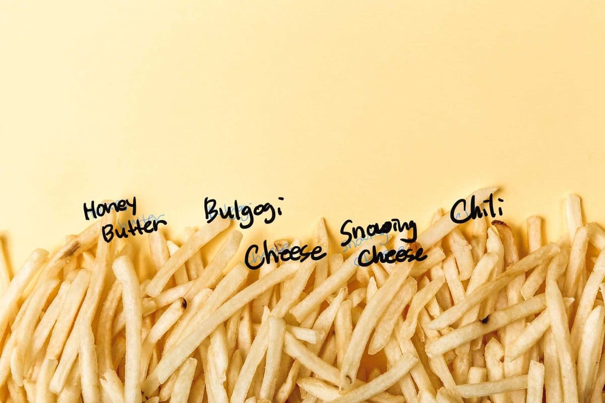 Shake Shake Fries
