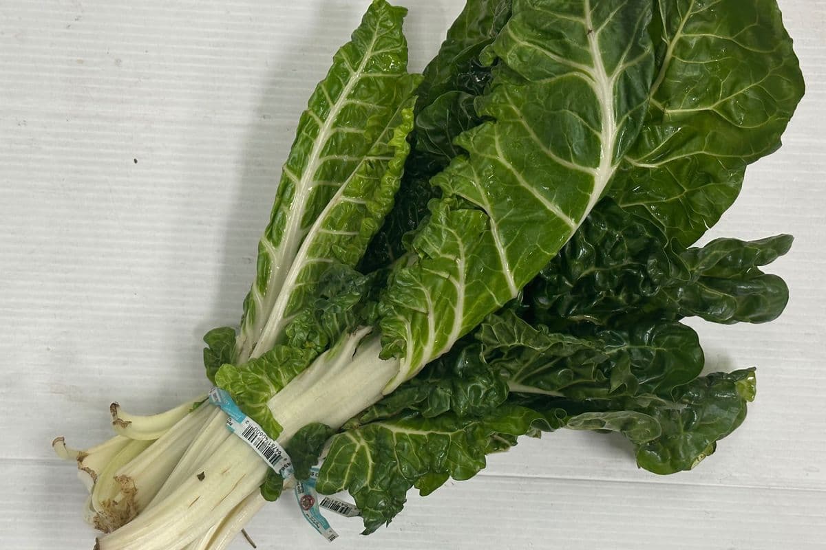 Swiss Chard - OUT OF STOCK (Each)