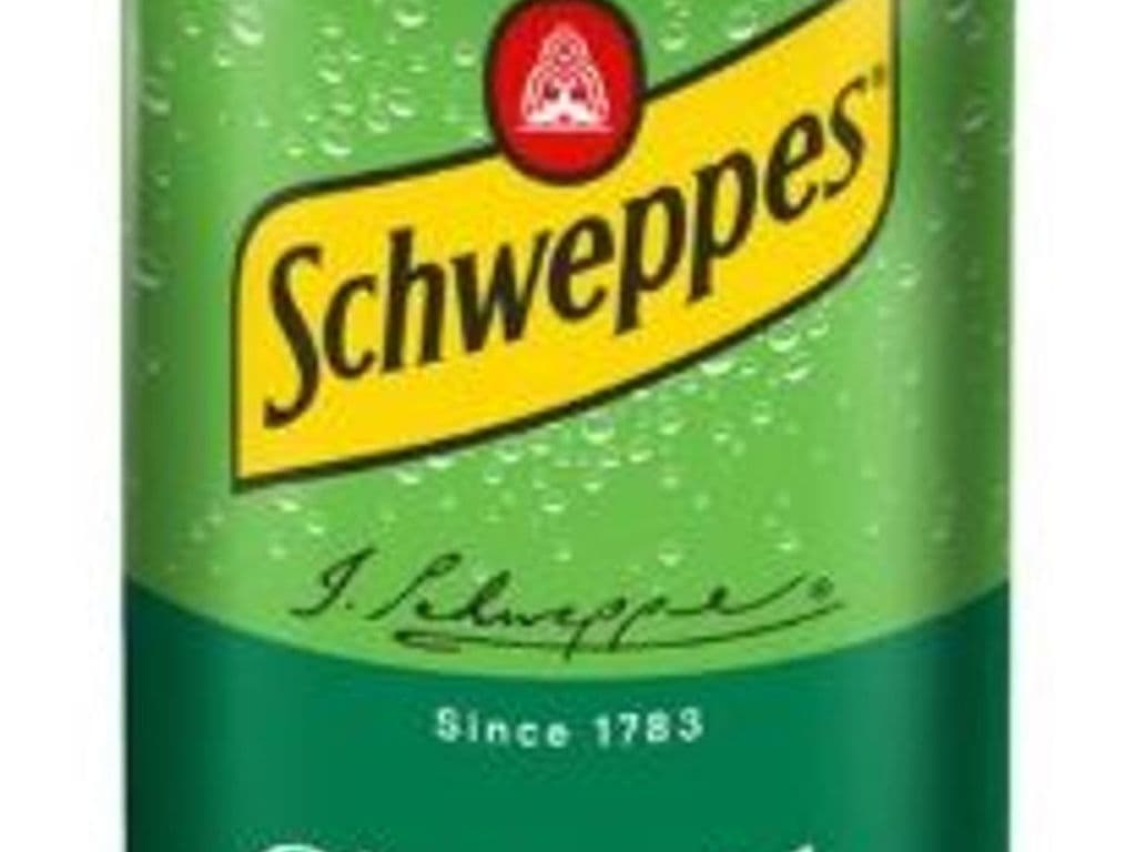 Ginger Ale 355ml