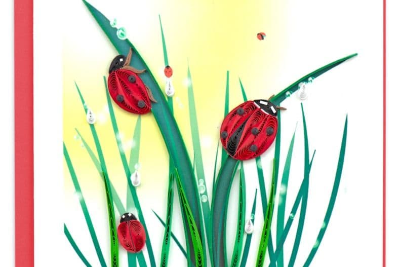 Ladybug Card BL1127