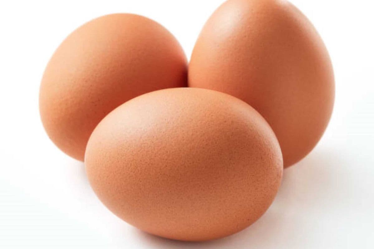 Oeuf Bruns/Brown Eggs