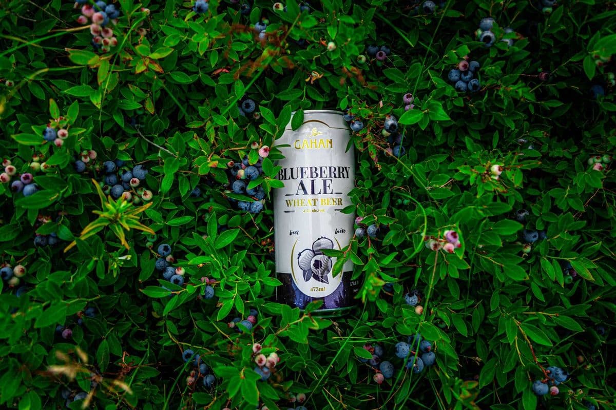 Gahan Blueberry Wheat Ale (473 ml Can) (1 x 473 ml Can)