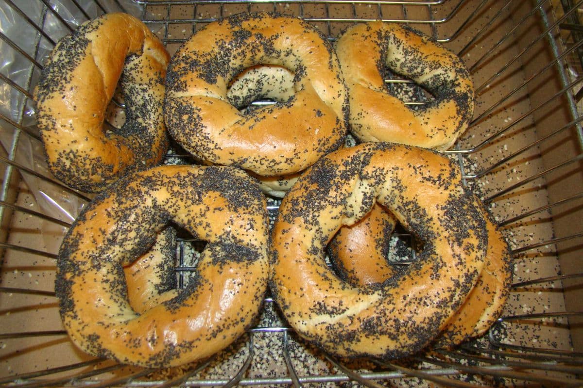 6 x St.Viateur bagel aux graines de pavot / 6 x St.Viateur poppy seed bagel