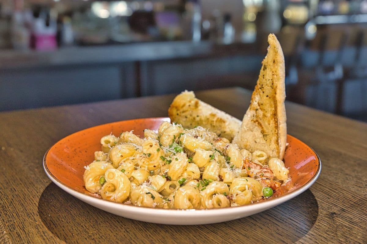 Cavatappi Alfredo Pasta