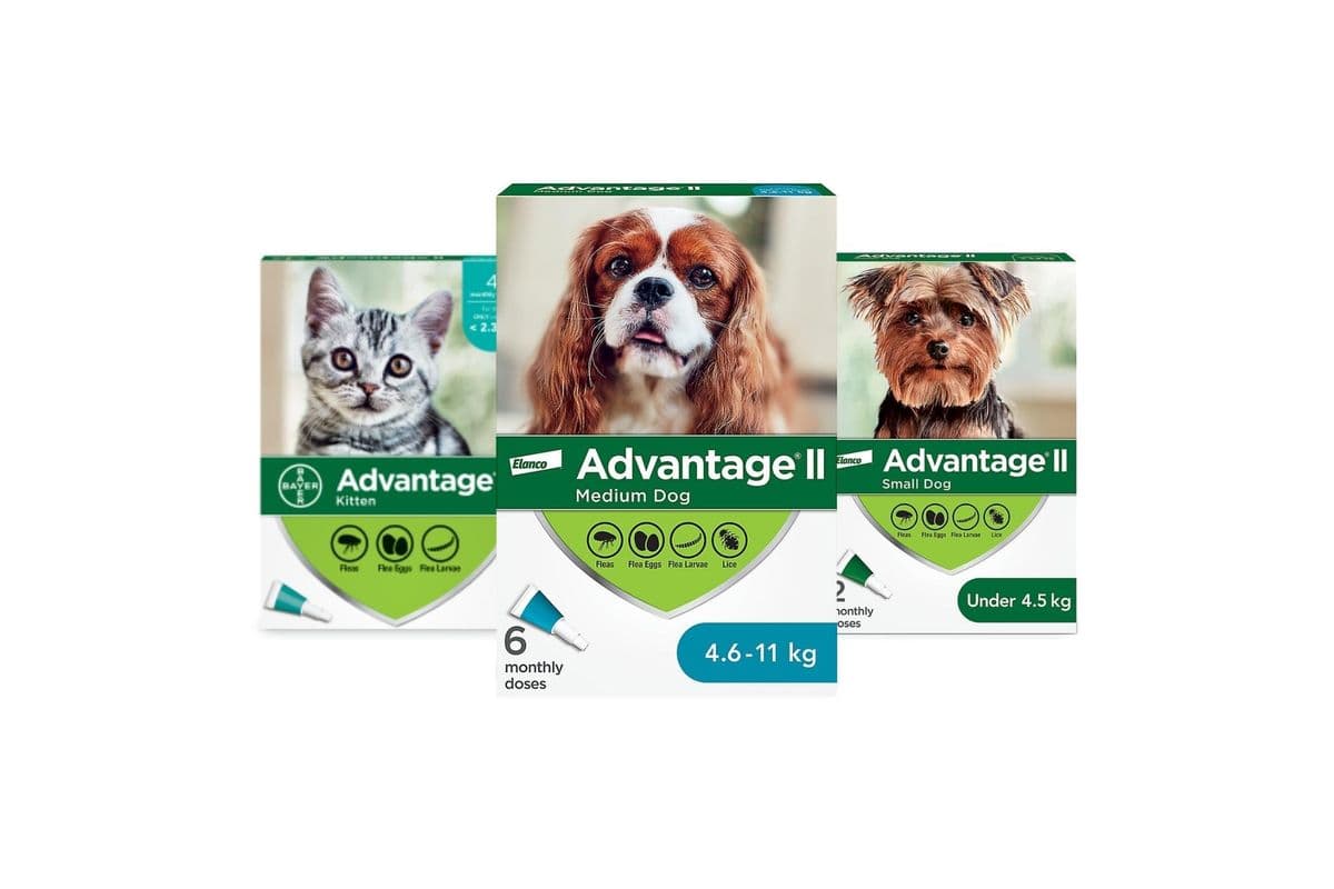 Advantage II for Dogs or Cats