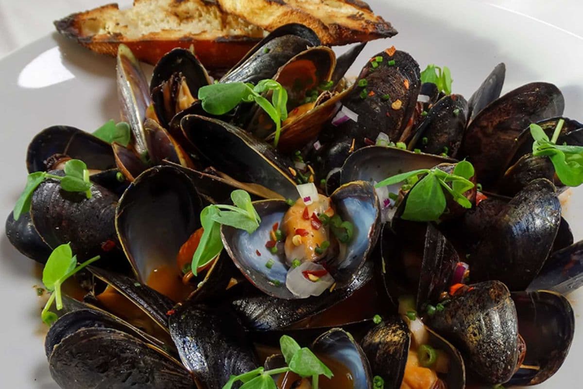 Cozze