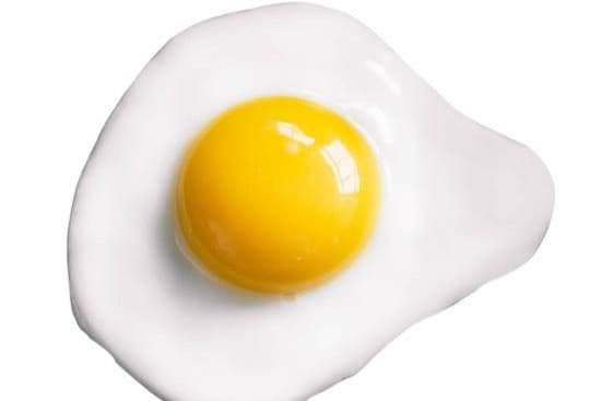 Egg