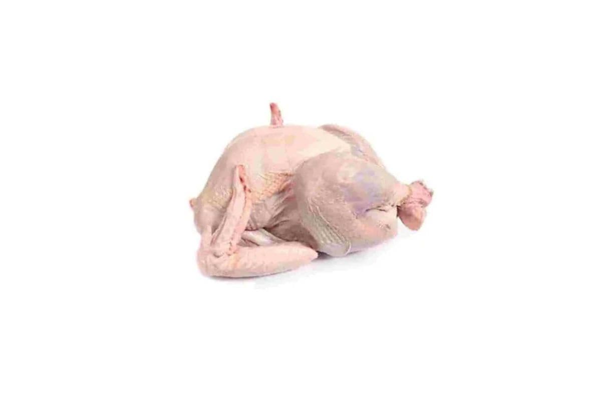 Turkey Wings (5 kg) (5 kg)