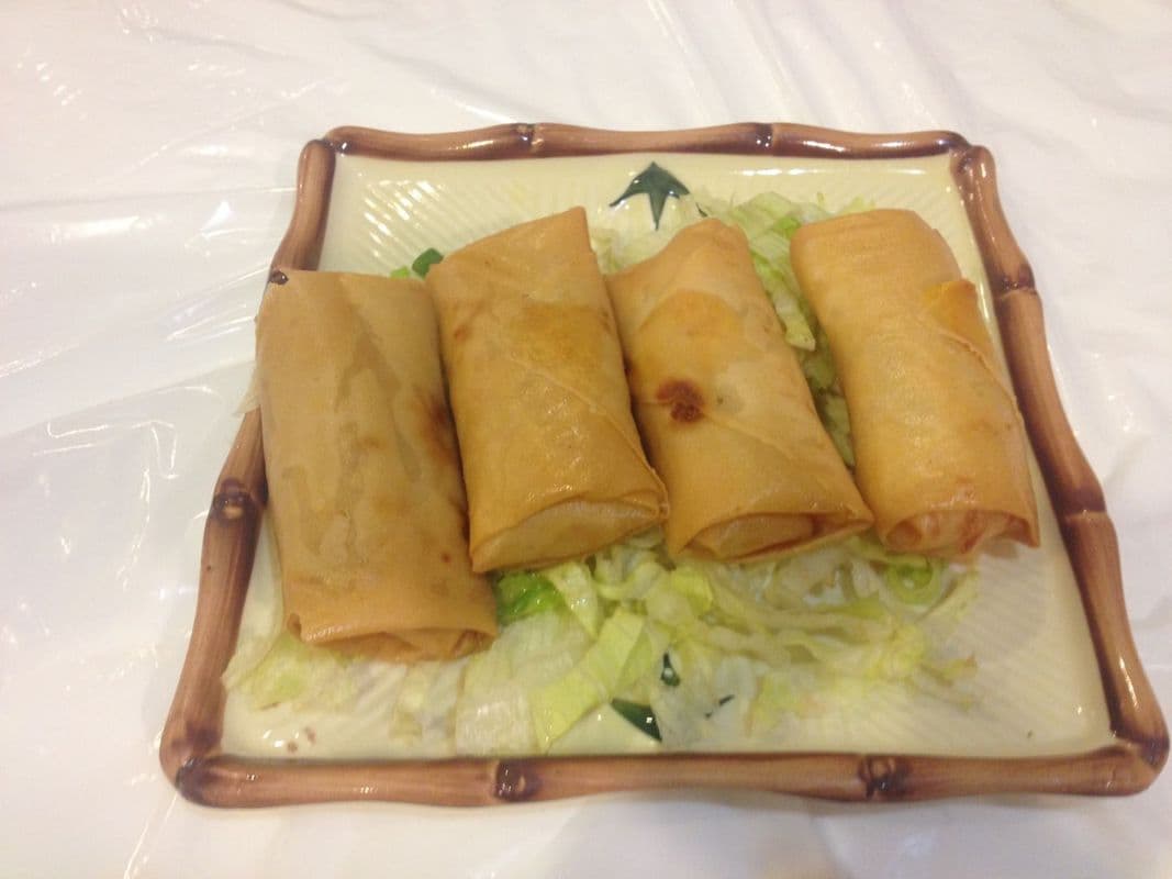 3. Vegetarian Spring Roll (1 pc)