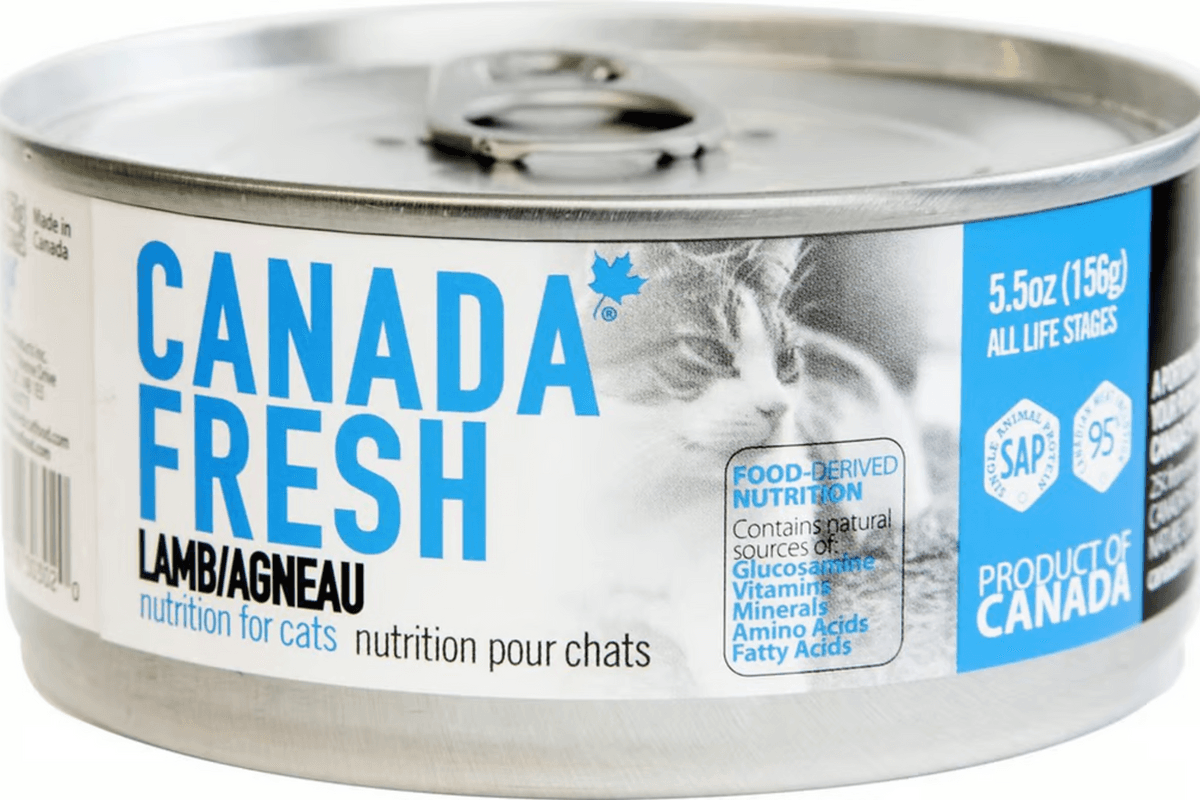 Canada Fresh Cat SAP Lamb 156g (156 g)