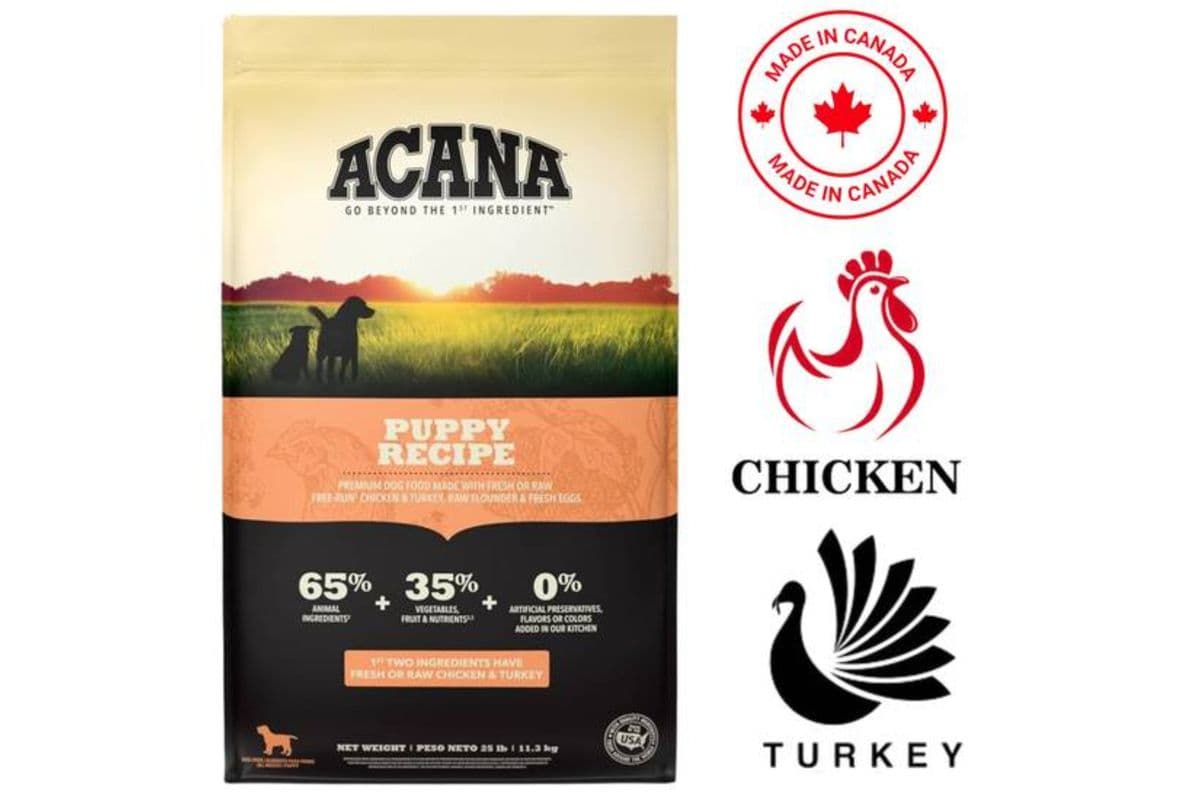 Acana - Chicken Puppy Dry Dog Food (4.4 lbs)