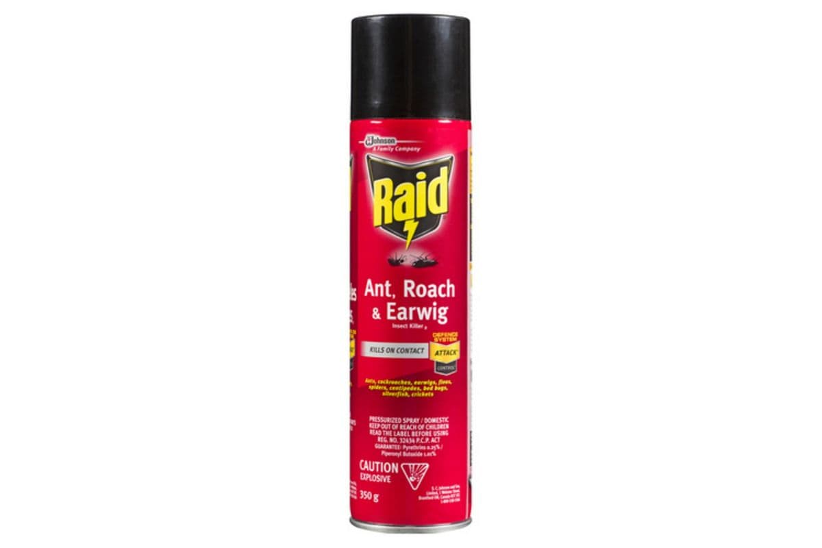 Raid Ant, Roach, and Earwig Spray (350 ml)