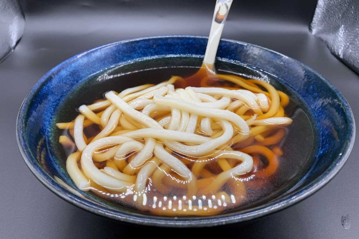 Plain Udon