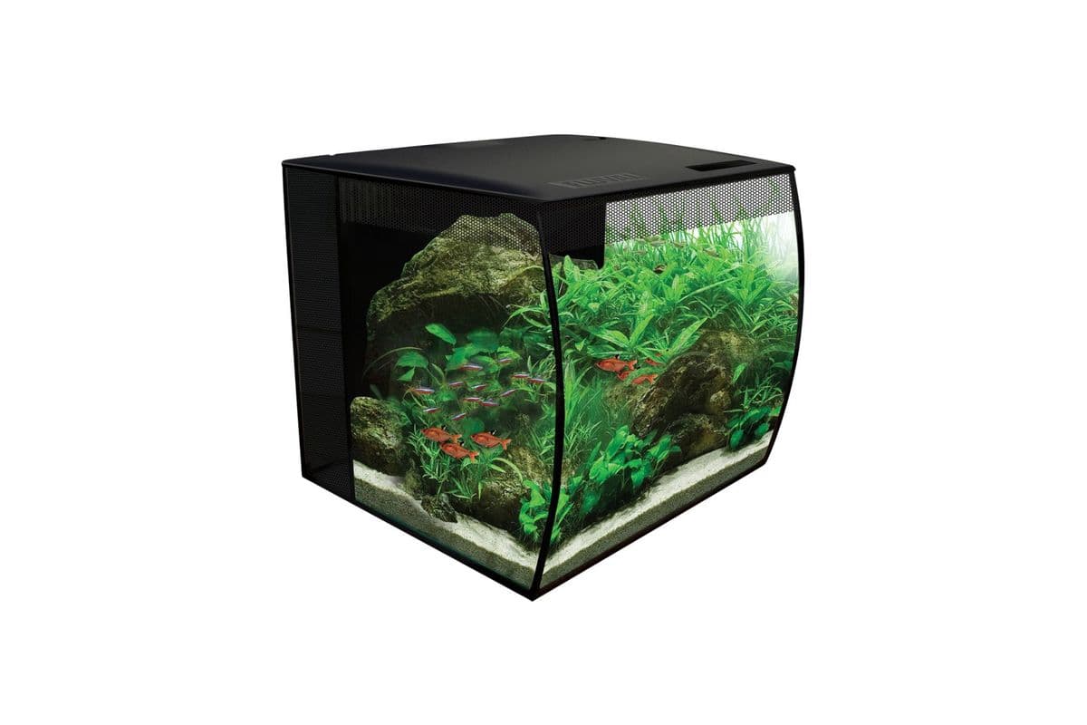 Fluval Flex Freshwater Kit - Black (9 gal)