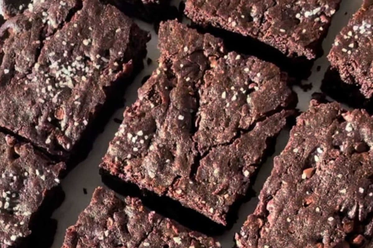 fudgy brownie square - 2 pack