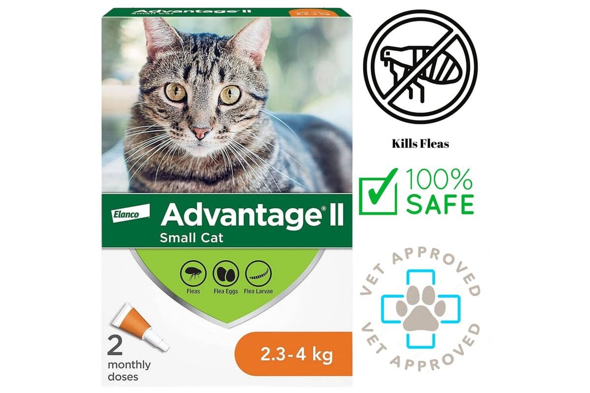 Advantage II - Flea & Tick Medicine - Small Cats (2.3 - 4 Kg)