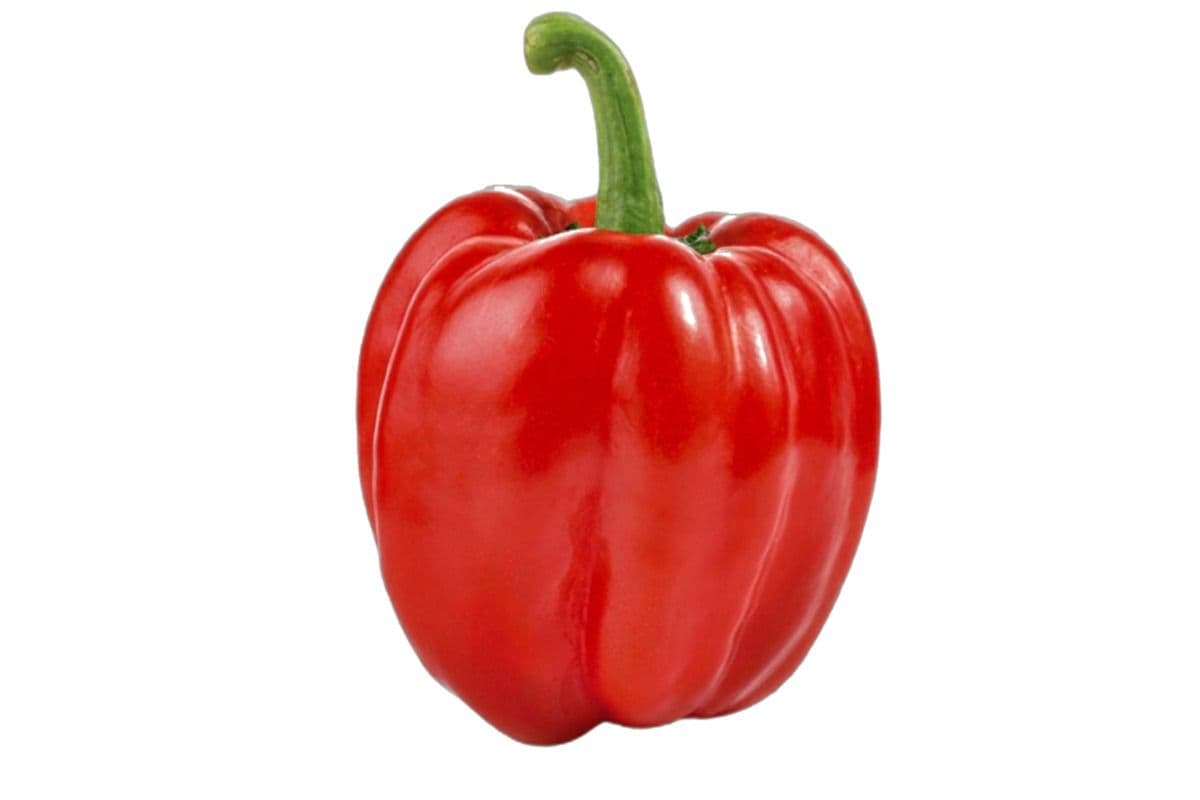 Bell Peppers