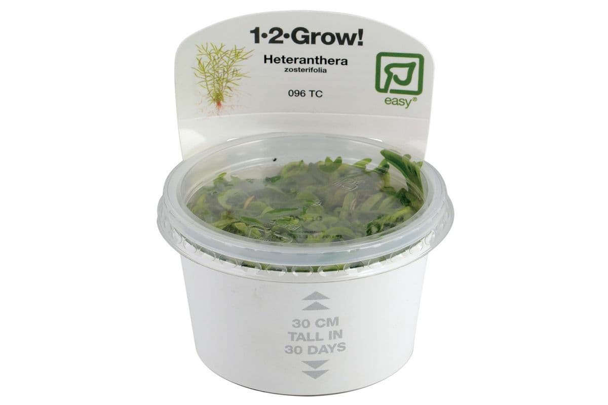 Tropica 1-2-Grow Live Plant - Heteranthera Zosterifolia