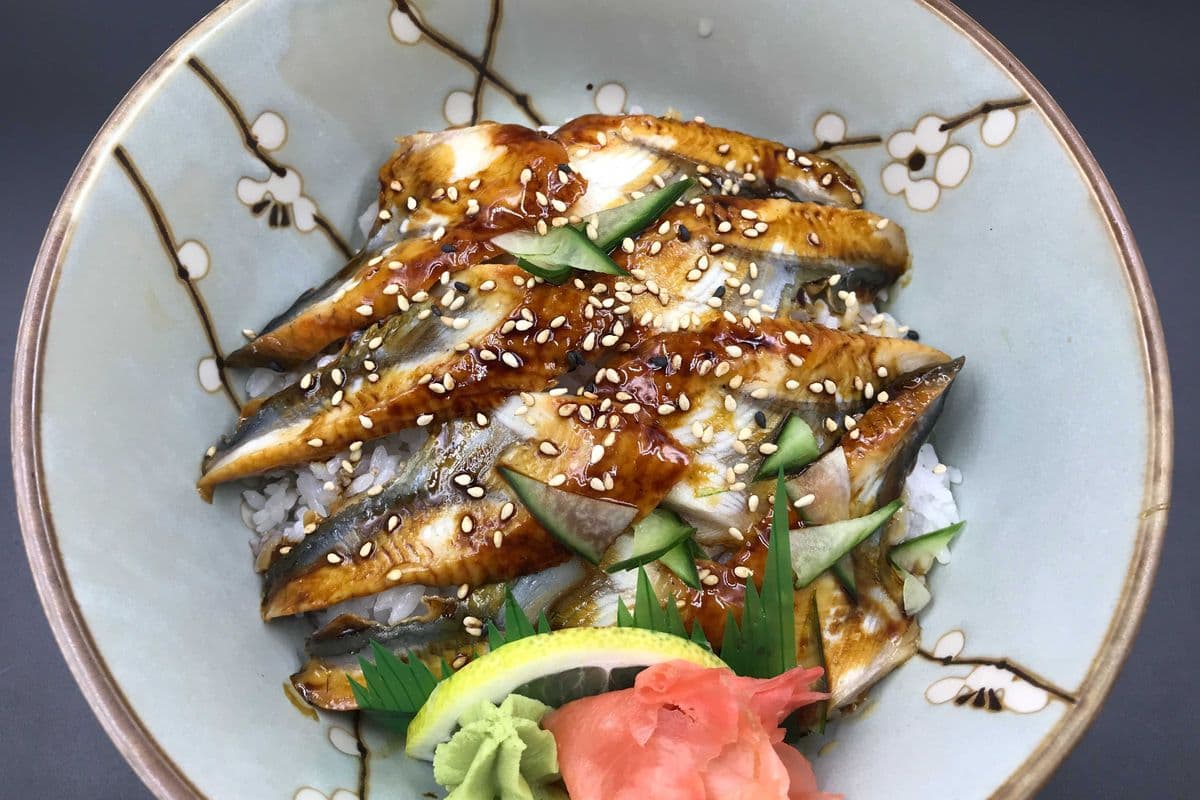 Unagi Donburi