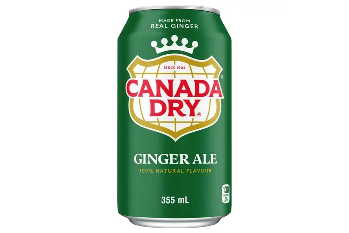 Ginger Ale Can (355 ml)