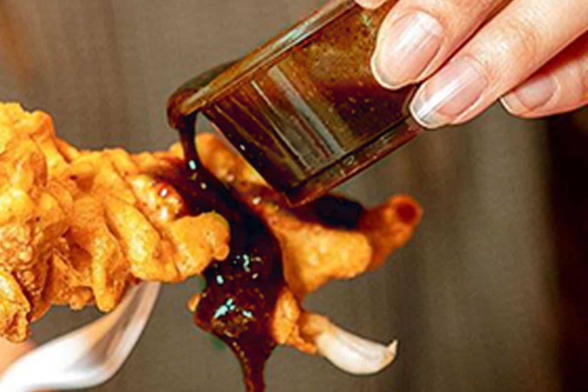 Monga Japanese Style Sauce