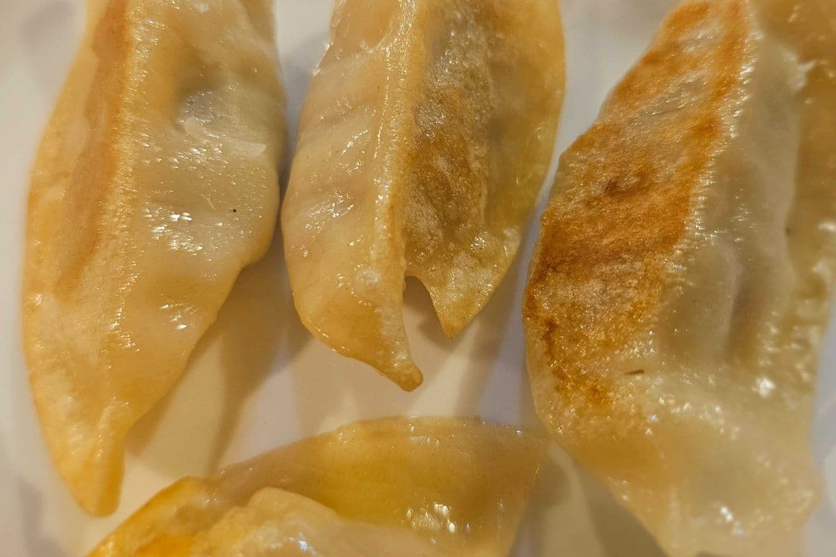 Grilled Pork Dumplings
