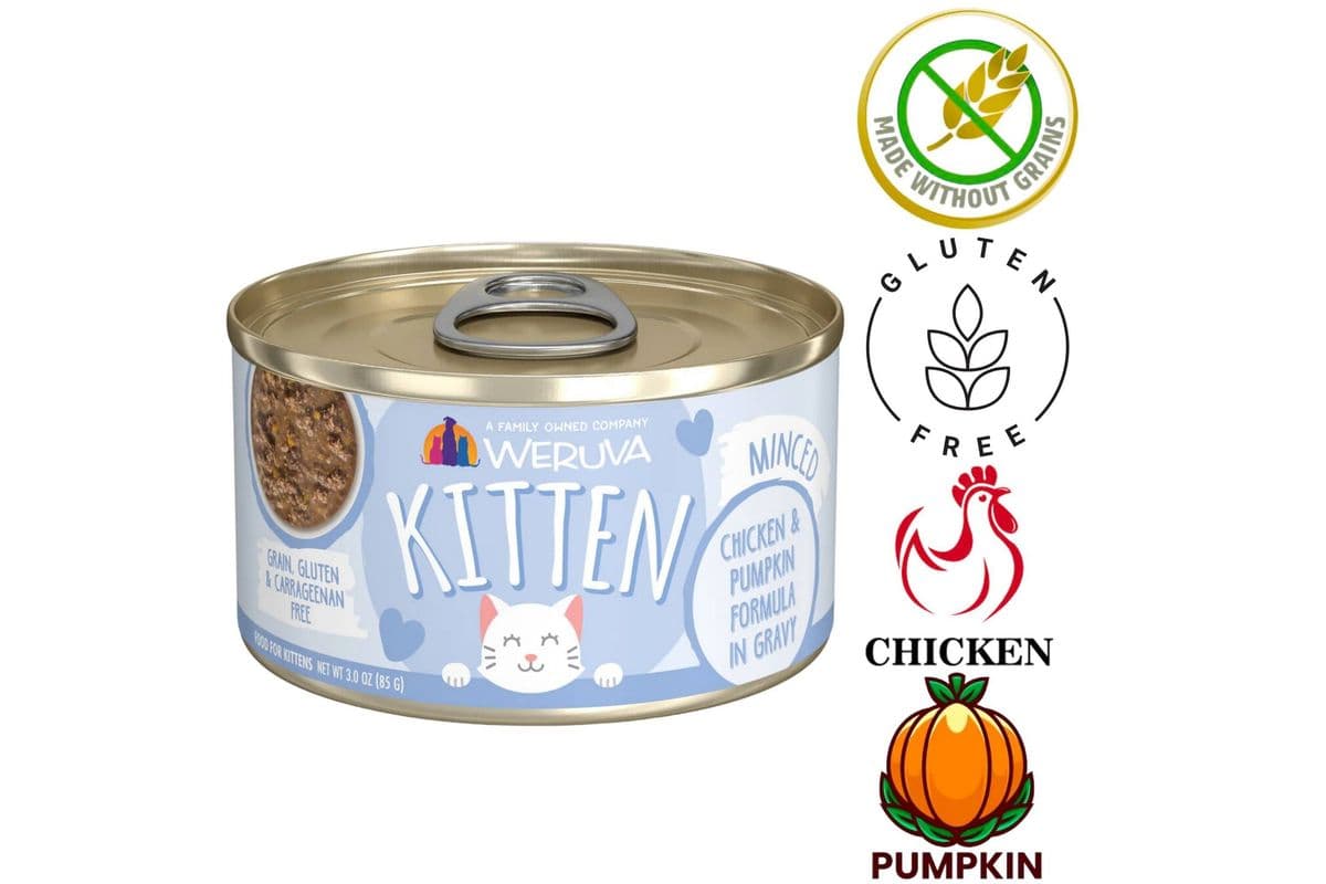 Weruva - Kitten Chicken & Pumpkin In Gravy Canned Cat Food (3 oz)