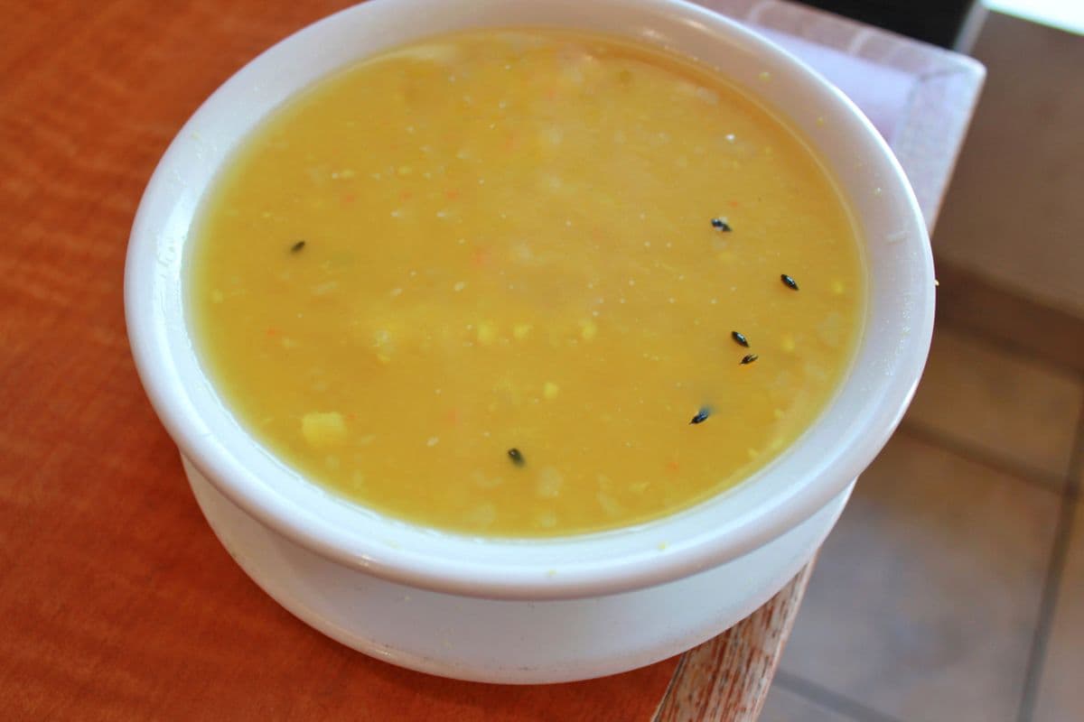 Large Dhal