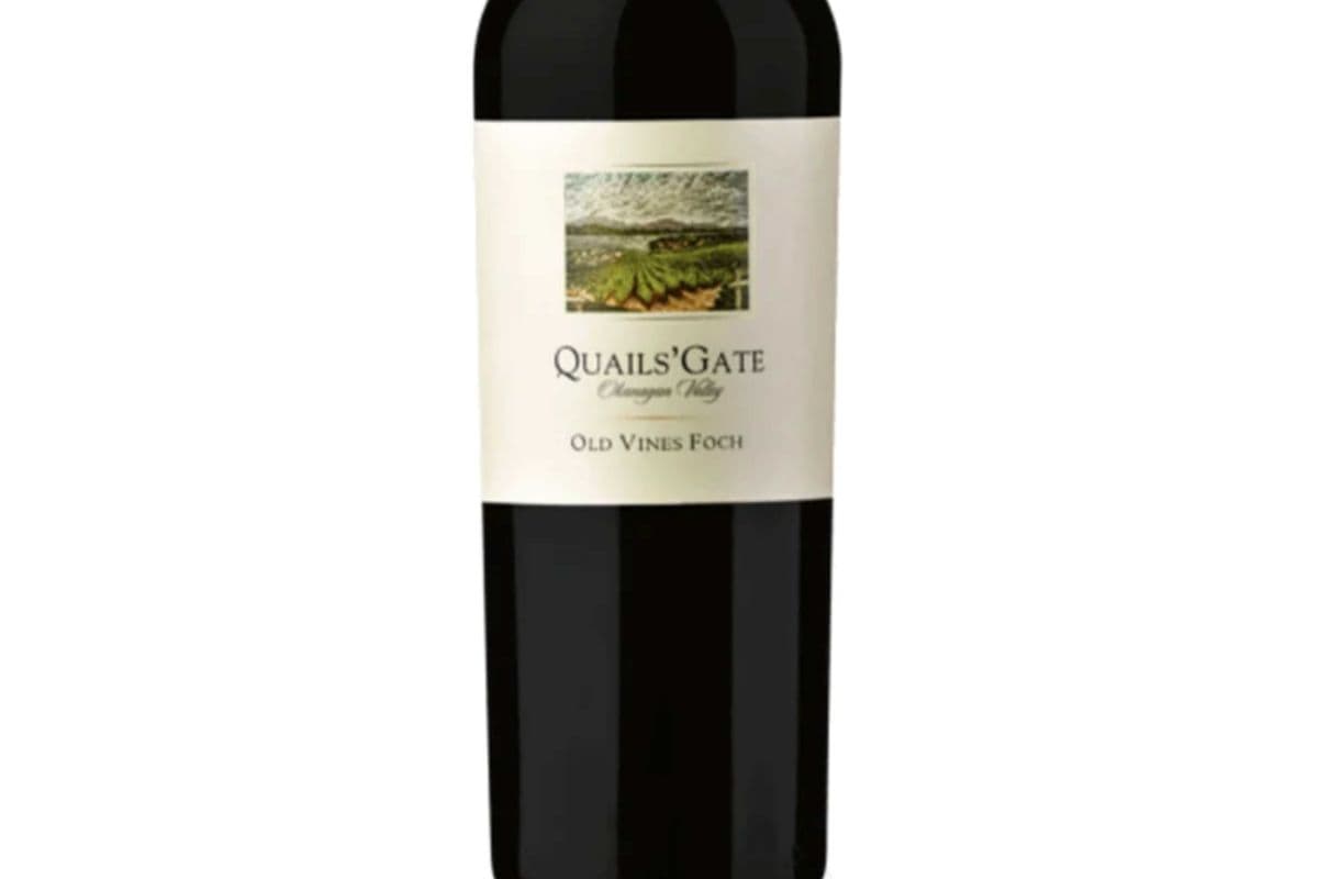 Quails Gate Old Vines Foch (1 x 750ml)