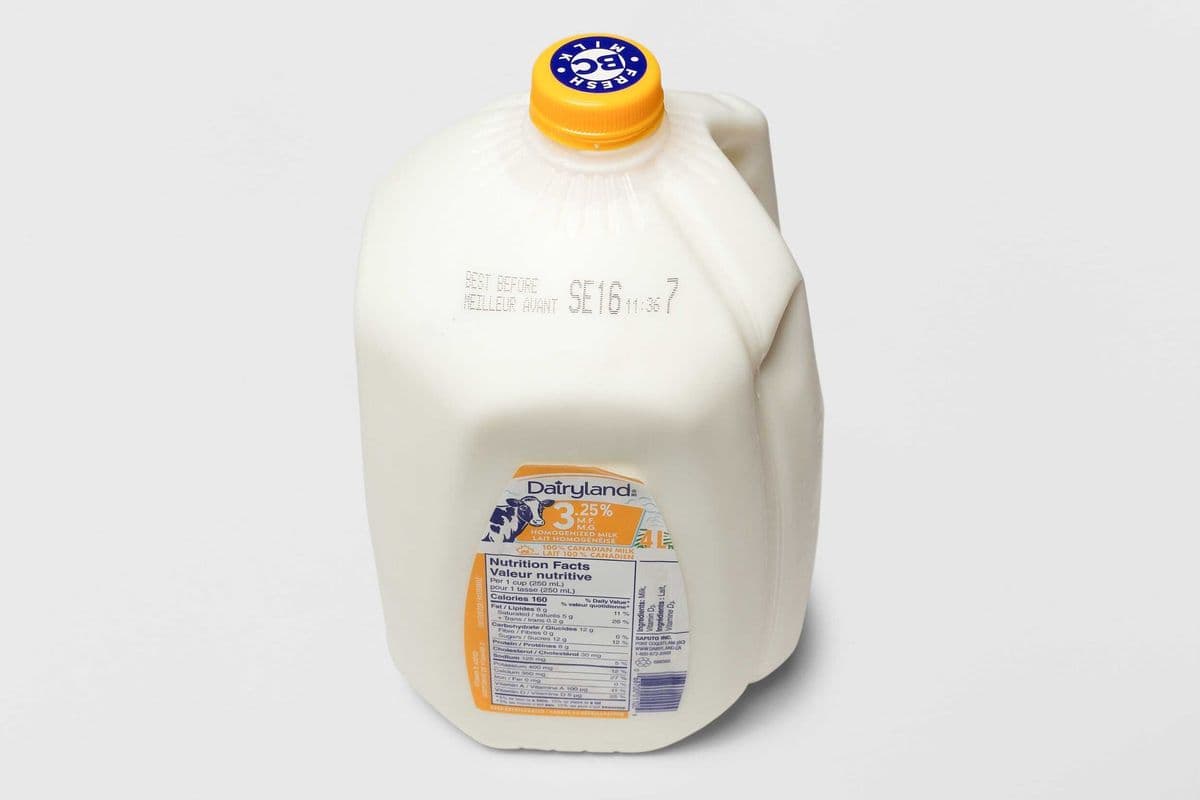 Dairyland Homo Milk (4 Liter)