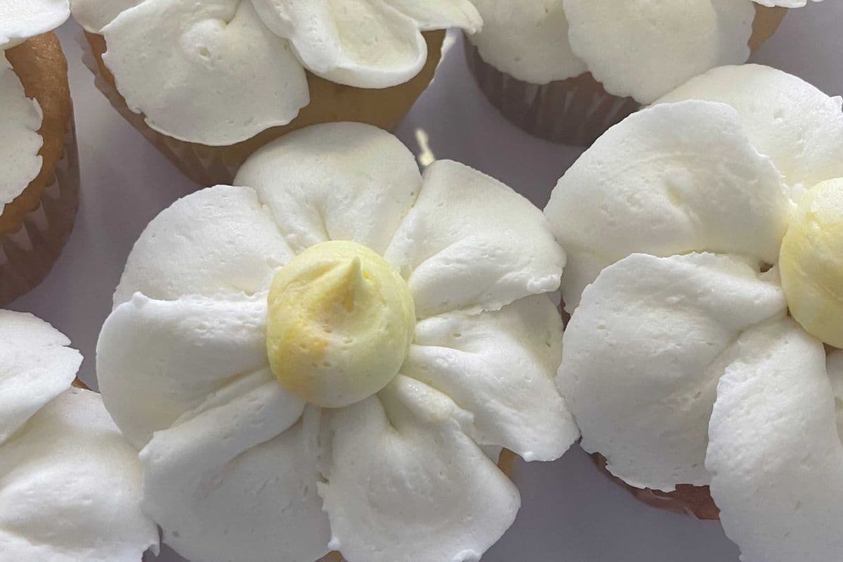 Lemon Cupcake with Lemon Filling