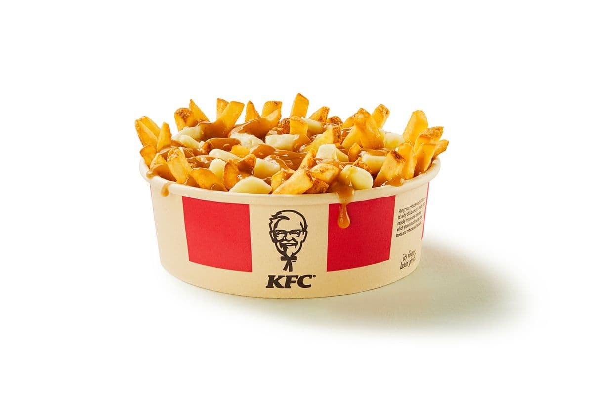 Large Poutine