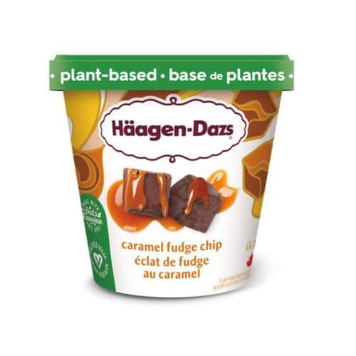 Haagen Dasz Caramel Fudge Chip (V)
